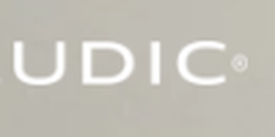 Ludic logo
